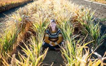 Sorghum-beer-unr-farm01